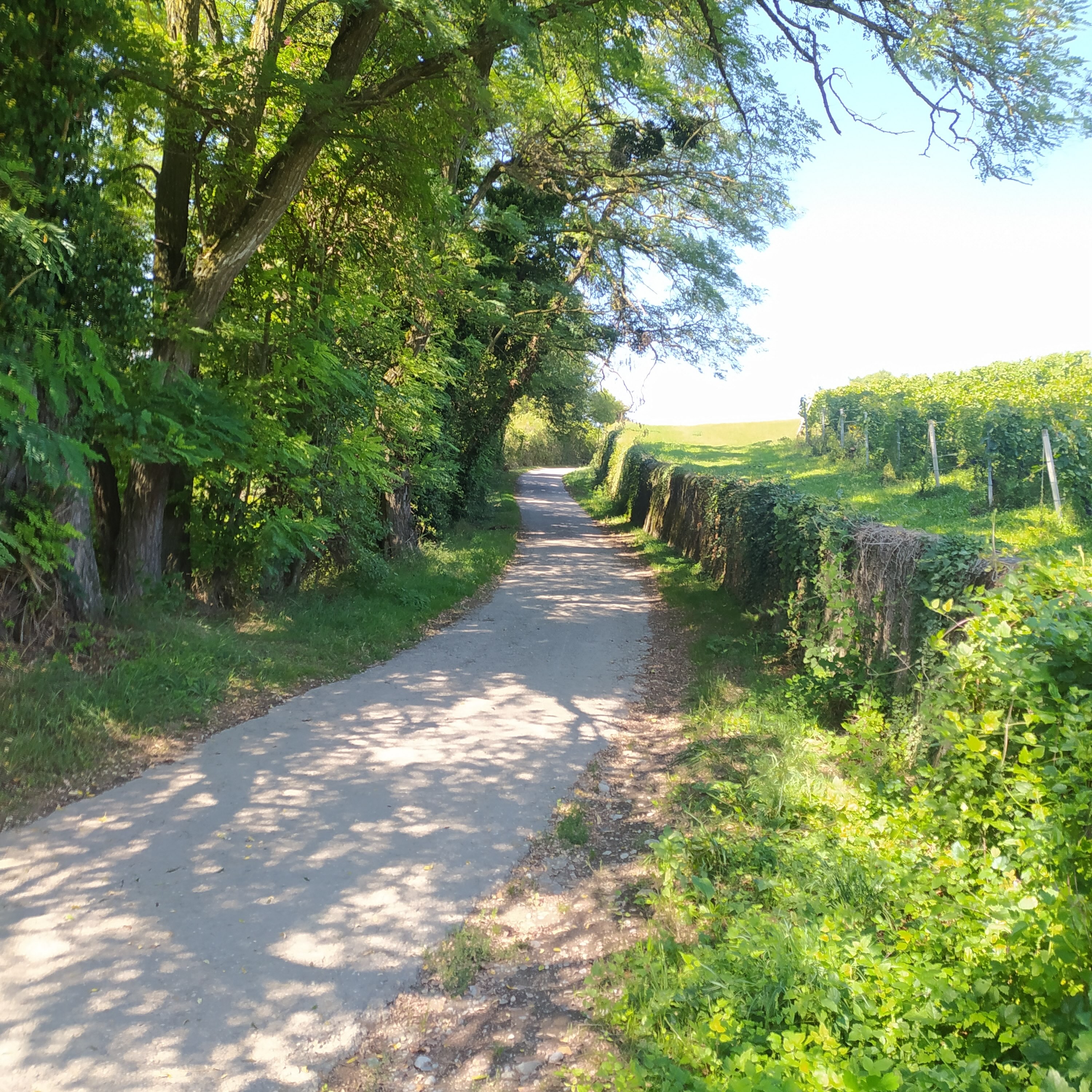 b1726045285101